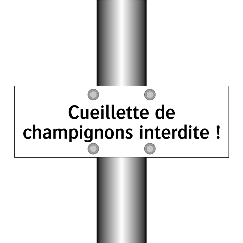 Cueillette de champignons interdite !