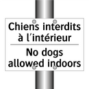 Chiens interdits à l'intérieur - No dogs allowed indoors