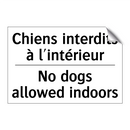 Chiens interdits à l'intérieur - No dogs allowed indoors