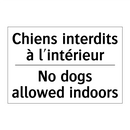 Chiens interdits à l'intérieur - No dogs allowed indoors