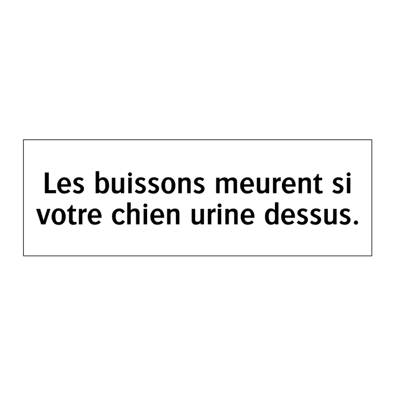 Les buissons meurent si votre chien urine dessus.