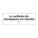 La cueillette des champignons est interdite !