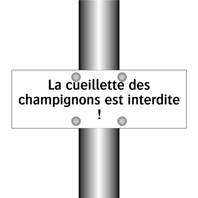 La cueillette des champignons est interdite !