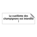 La cueillette des champignons est interdite !