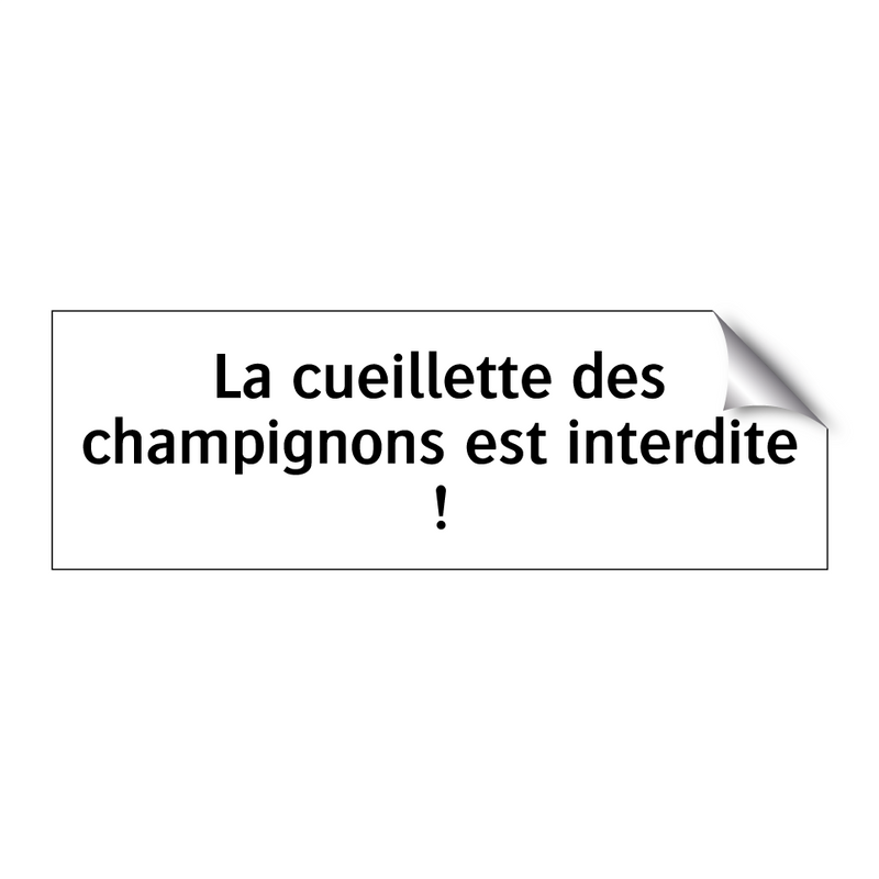 La cueillette des champignons est interdite !