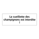 La cueillette des champignons est interdite !