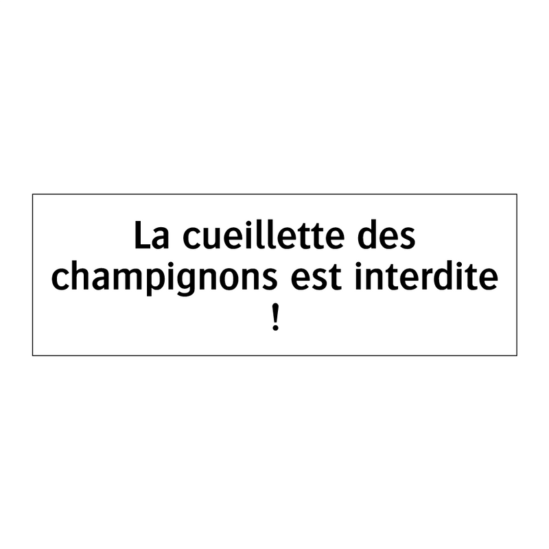 La cueillette des champignons est interdite !