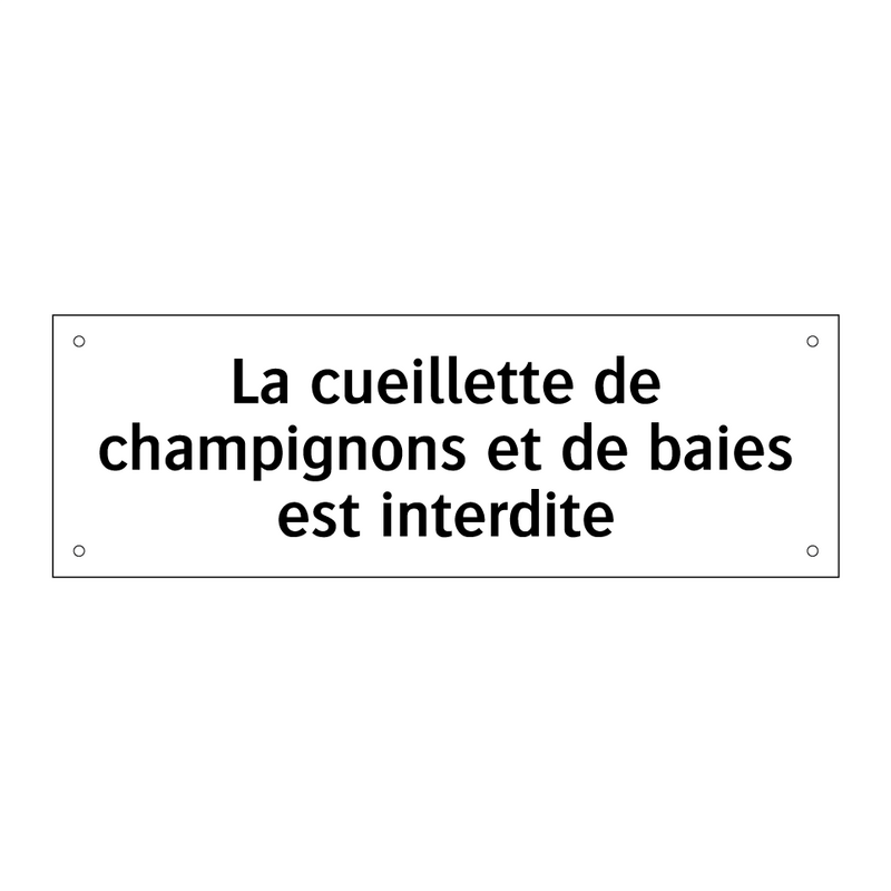 La cueillette de champignons et de baies est interdite