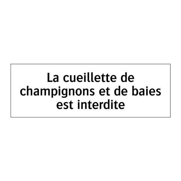 La cueillette de champignons et de baies est interdite