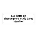 Cueillette de champignons et de baies interdite !
