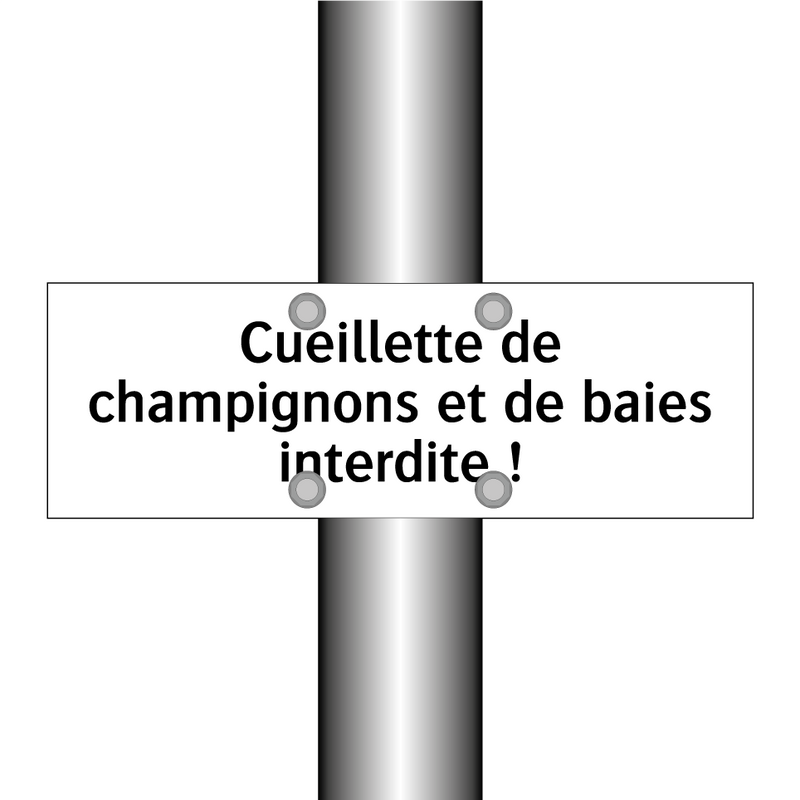 Cueillette de champignons et de baies interdite !