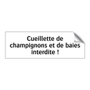 Cueillette de champignons et de baies interdite !