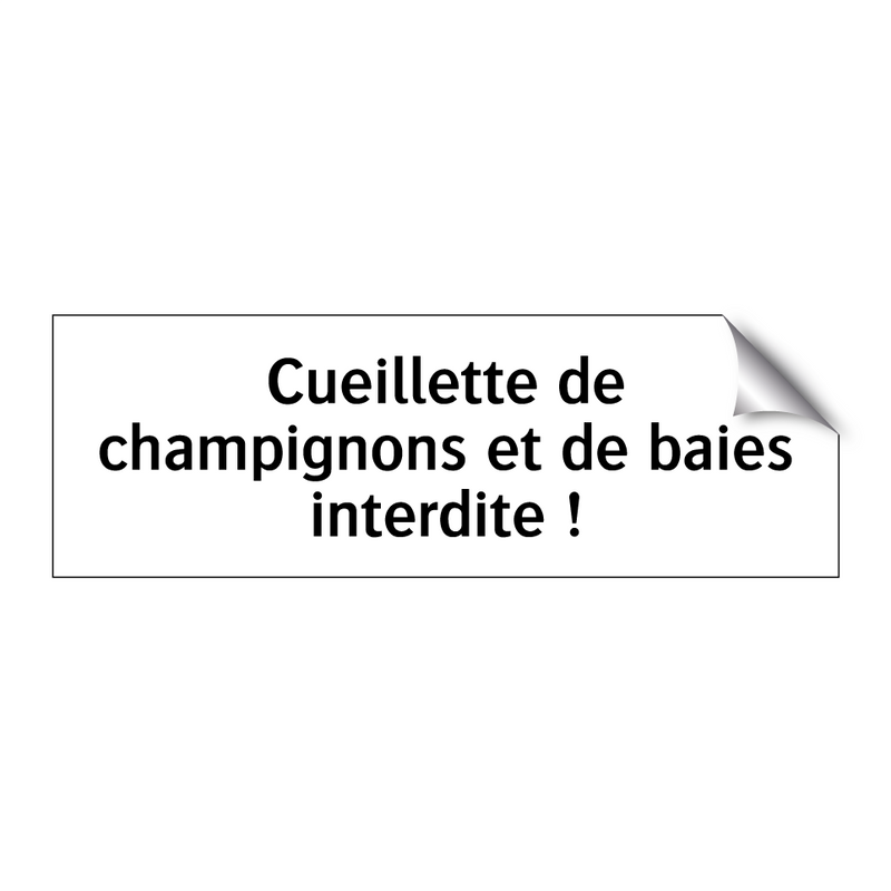 Cueillette de champignons et de baies interdite !