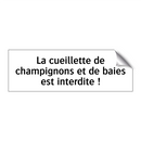 La cueillette de champignons et de baies est interdite !