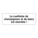 La cueillette de champignons et de baies est interdite !