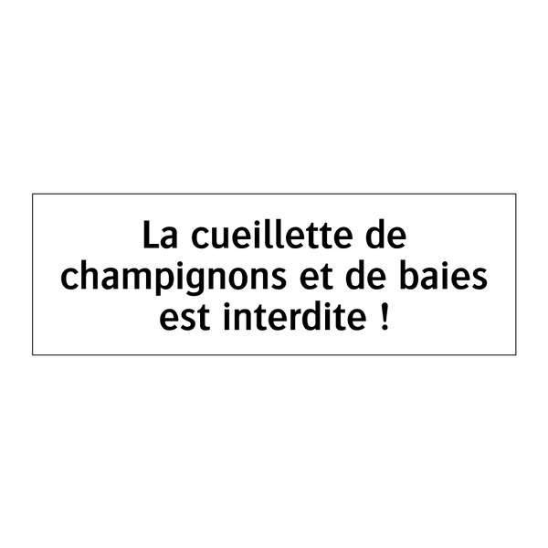 La cueillette de champignons et de baies est interdite !