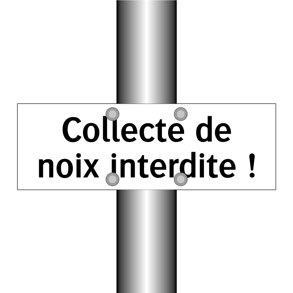 Collecte de noix interdite !