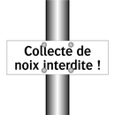 Collecte de noix interdite !