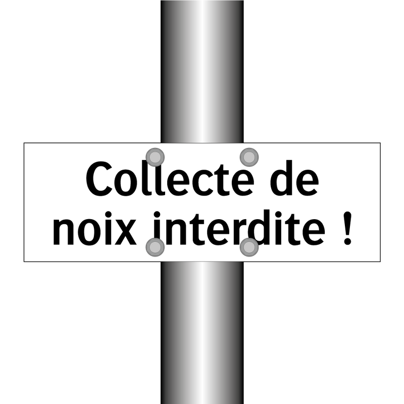 Collecte de noix interdite !