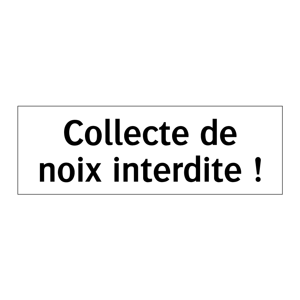 Collecte de noix interdite !