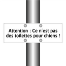 Attention : Ce n'est pas des toilettes pour chiens !