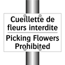 Cueillette de fleurs interdite - Picking Flowers Prohibited