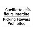 Cueillette de fleurs interdite - Picking Flowers Prohibited