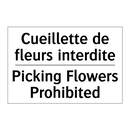 Cueillette de fleurs interdite - Picking Flowers Prohibited