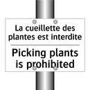 La cueillette des plantes est  /.../ - Picking plants is prohibited