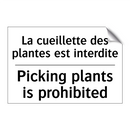 La cueillette des plantes est  /.../ - Picking plants is prohibited