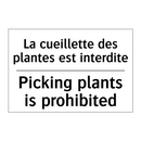 La cueillette des plantes est  /.../ - Picking plants is prohibited