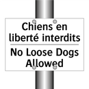 Chiens en liberté interdits - No Loose Dogs Allowed