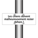 Les chiens doivent malheureusement rester dehors !