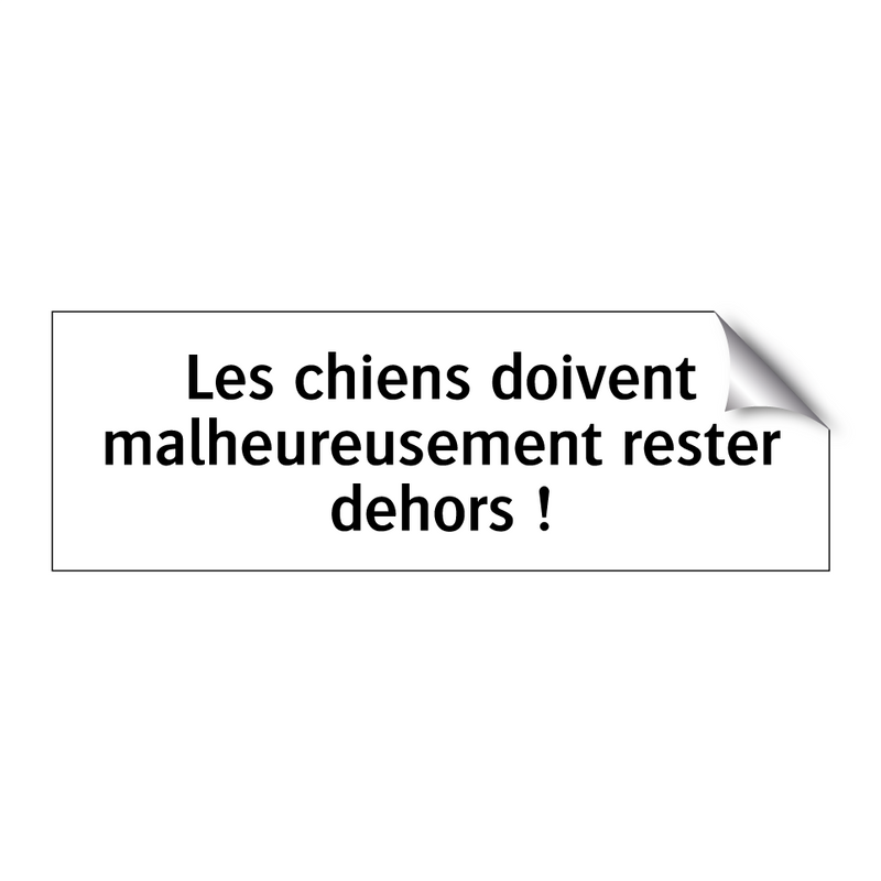 Les chiens doivent malheureusement rester dehors !
