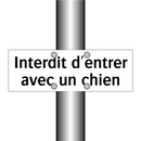 Interdit d'entrer avec un chien