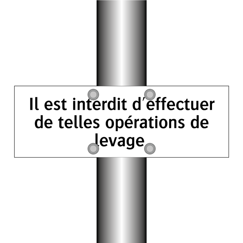 Il est interdit d'effectuer de telles opérations de levage.