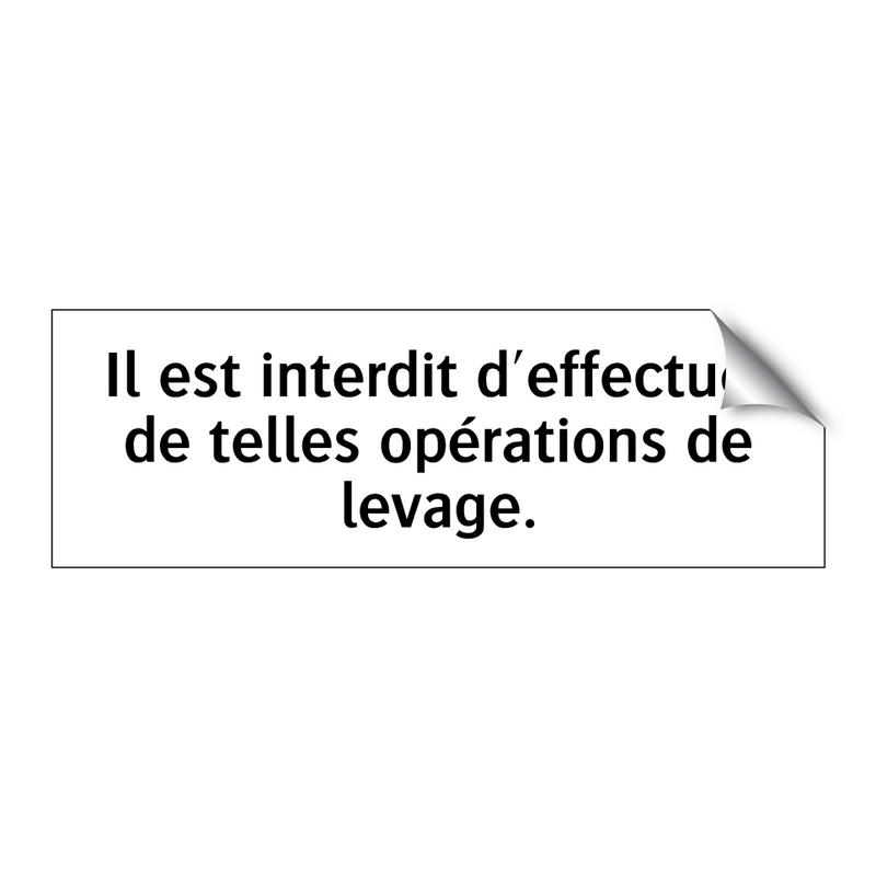 Il est interdit d'effectuer de telles opérations de levage.