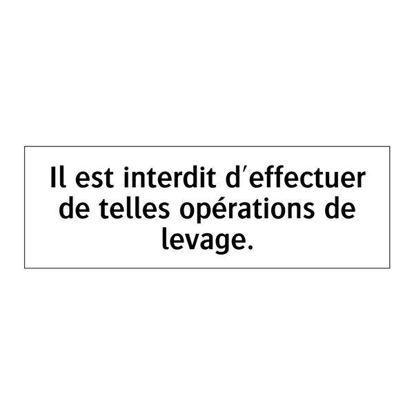 Il est interdit d'effectuer de telles opérations de levage.