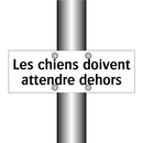 Les chiens doivent attendre dehors