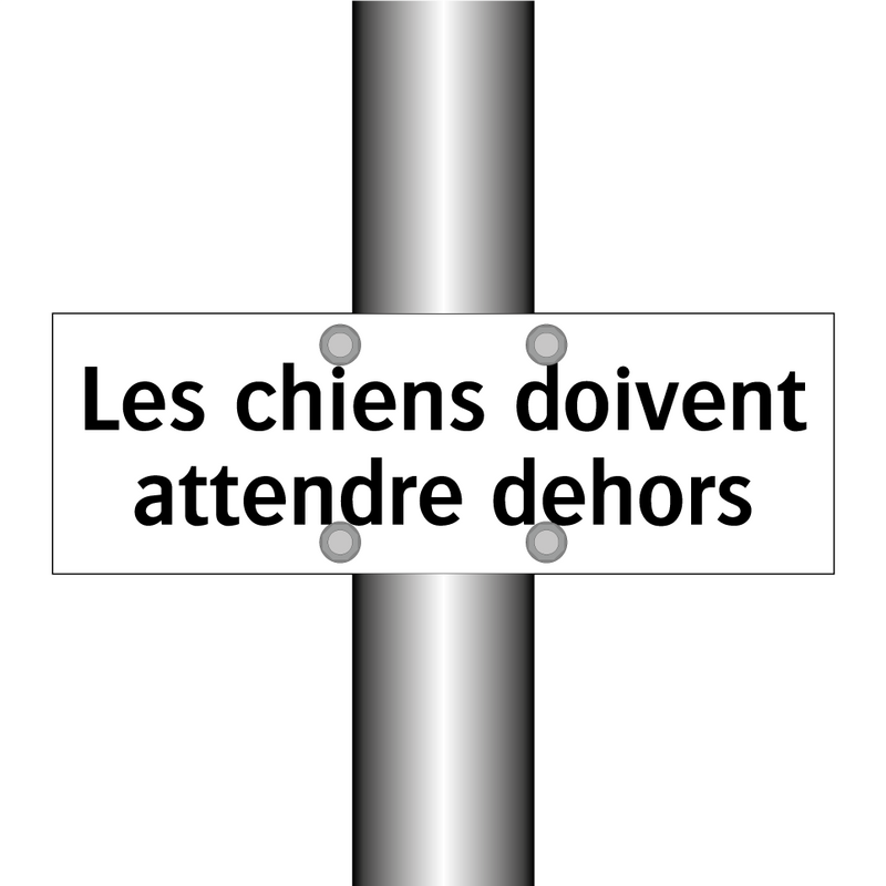 Les chiens doivent attendre dehors