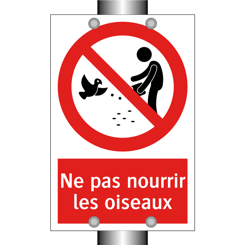 Ne pas nourrir les oiseaux