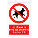 Les chiens ne sont pas autorisés à uriner ici