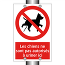 Les chiens ne sont pas autorisés à uriner ici