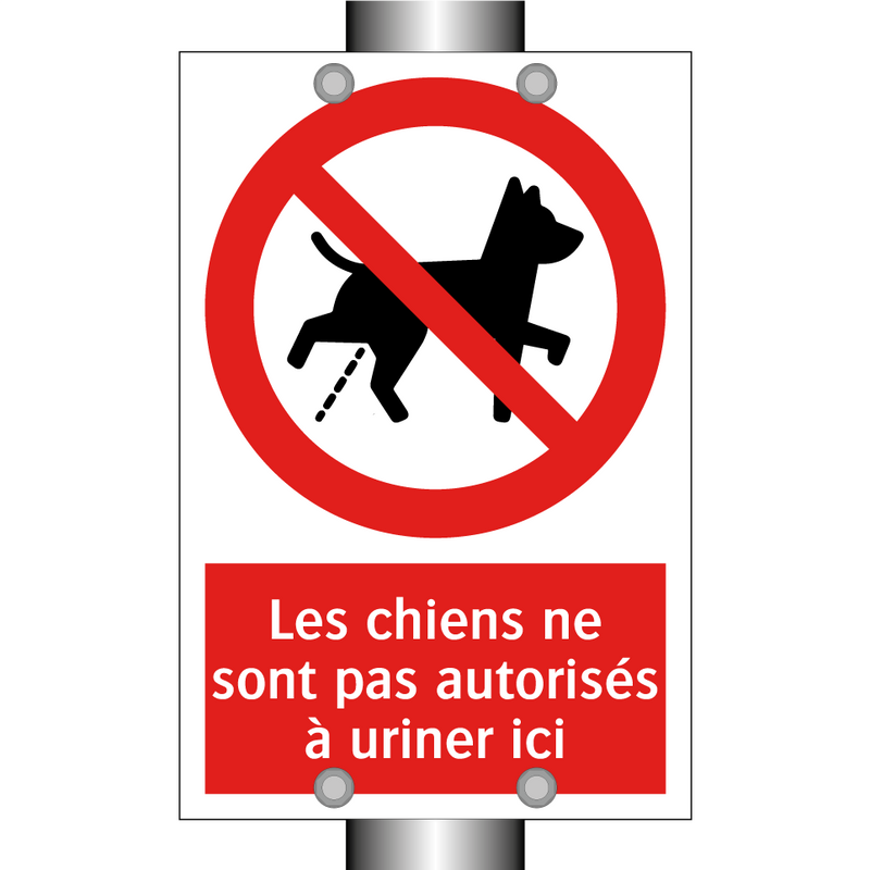Les chiens ne sont pas autorisés à uriner ici