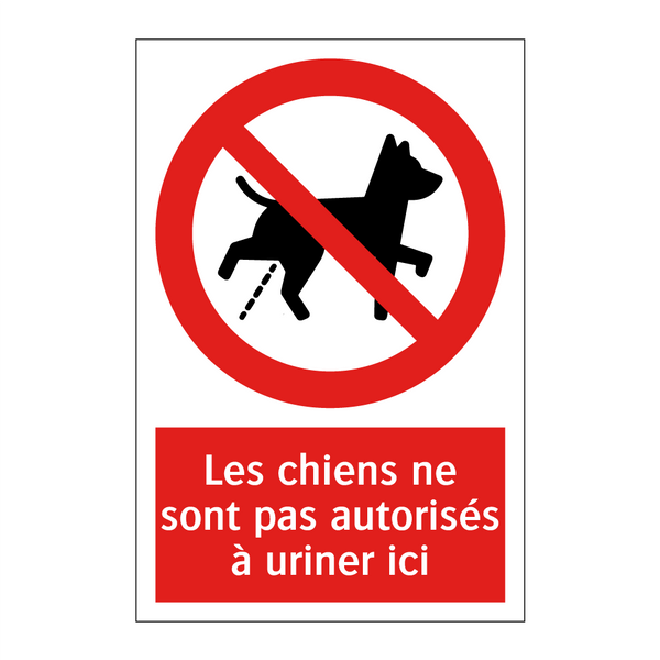 Les chiens ne sont pas autorisés à uriner ici