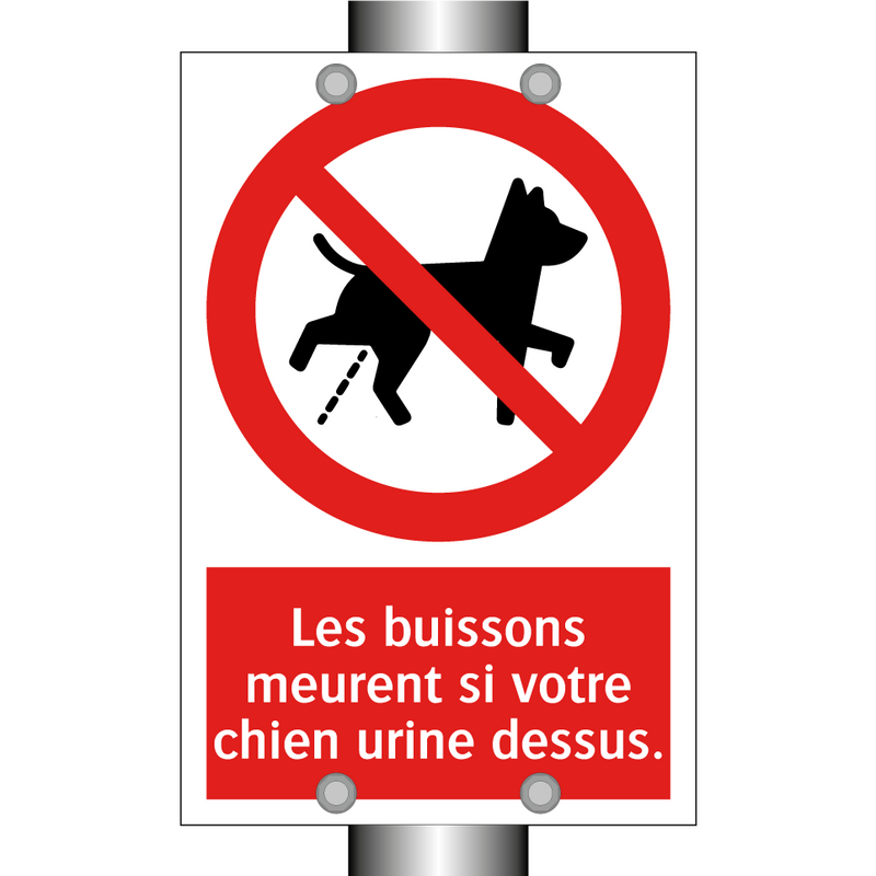 Les buissons meurent si votre chien urine dessus.