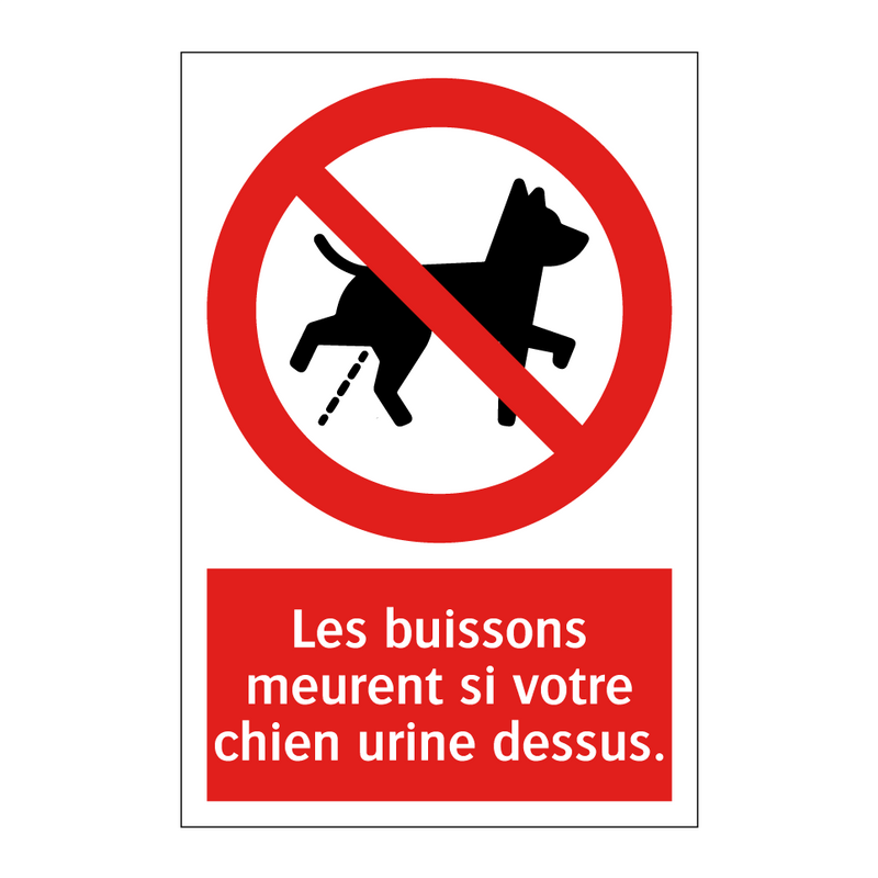 Les buissons meurent si votre chien urine dessus.