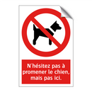 N'hésitez pas à promener le chien, mais pas ici.