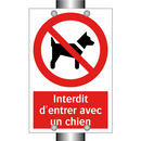 Interdit d'entrer avec un chien