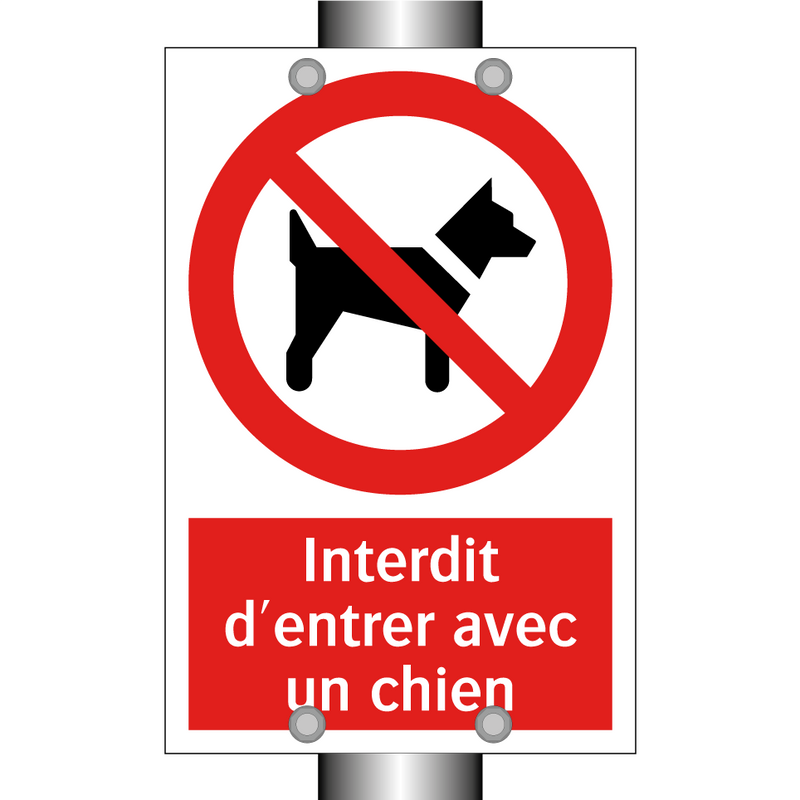 Interdit d'entrer avec un chien